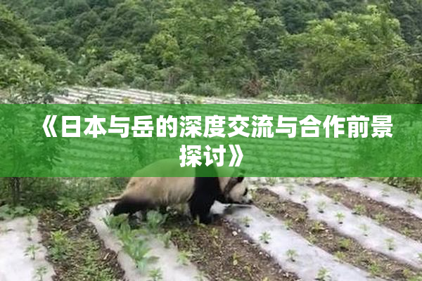 《日本与岳的深度交流与合作前景探讨》