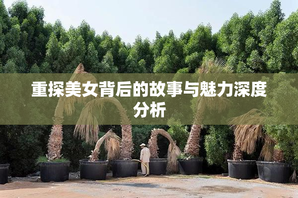 重探美女背后的故事与魅力深度分析