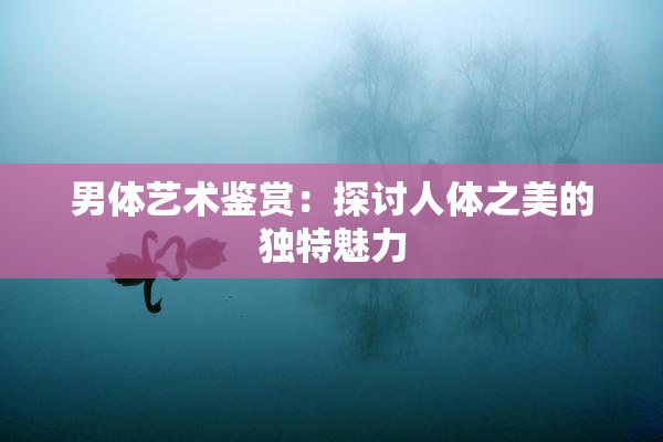 男体艺术鉴赏：探讨人体之美的独特魅力