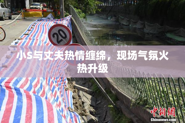 小S与丈夫热情缠绵，现场气氛火热升级