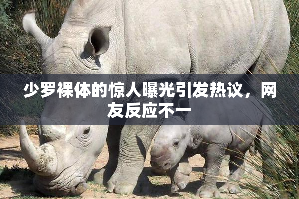 少罗裸体的惊人曝光引发热议，网友反应不一