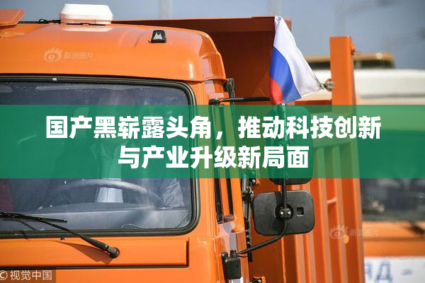 国产黑崭露头角，推动科技创新与产业升级新局面
