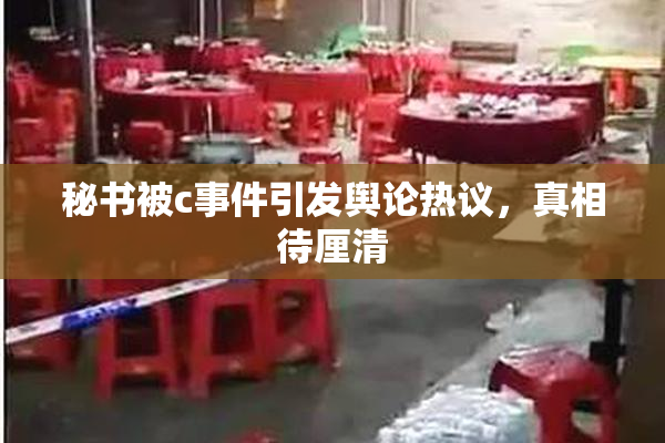 秘书被c事件引发舆论热议，真相待厘清