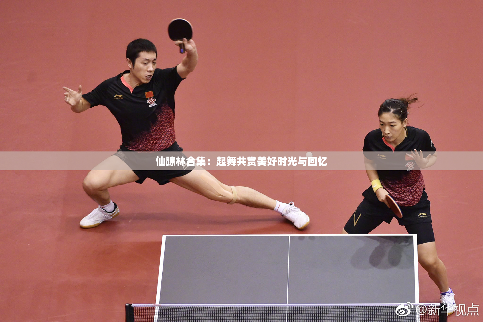 仙踪林合集：起舞共赏美好时光与回忆