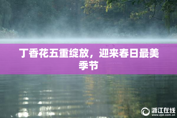 丁香花五重绽放，迎来春日最美季节