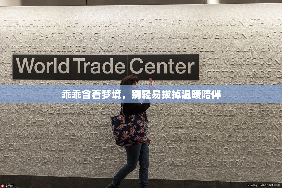 乖乖含着梦境，别轻易拔掉温暖陪伴