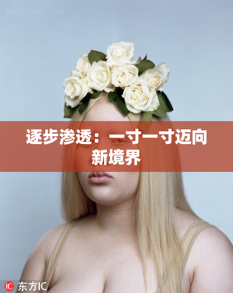 逐步渗透：一寸一寸迈向新境界