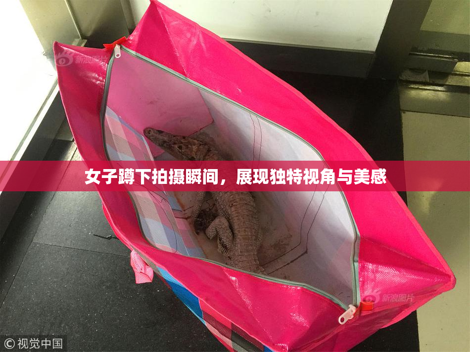 女子蹲下拍摄瞬间，展现独特视角与美感