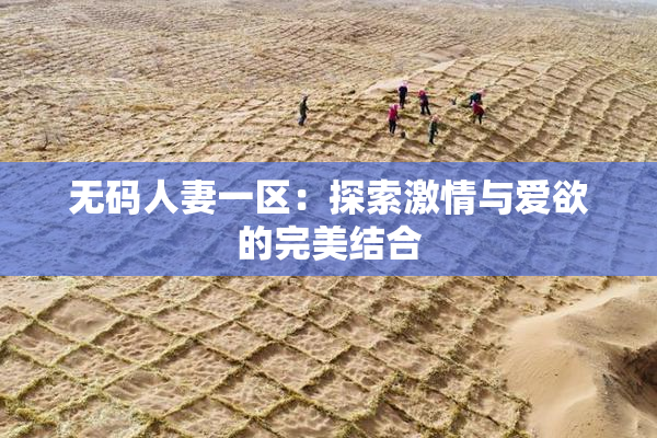 无码人妻一区：探索激情与爱欲的完美结合