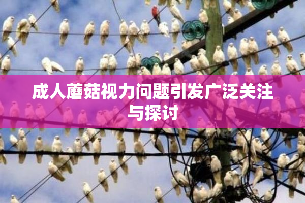 成人蘑菇视力问题引发广泛关注与探讨