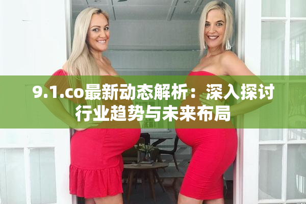 9.1.co最新动态解析：深入探讨行业趋势与未来布局