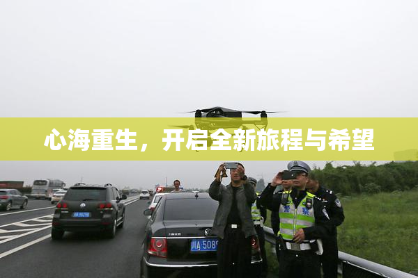 心海重生，开启全新旅程与希望