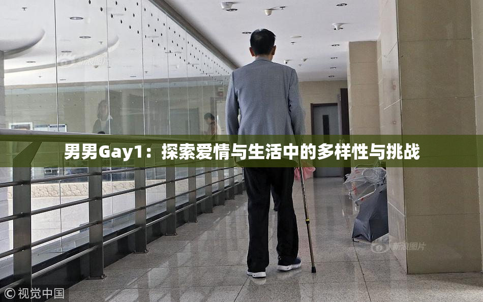 男男Gay1：探索爱情与生活中的多样性与挑战
