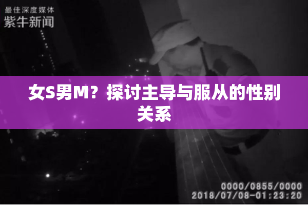 女S男M？探讨主导与服从的性别关系