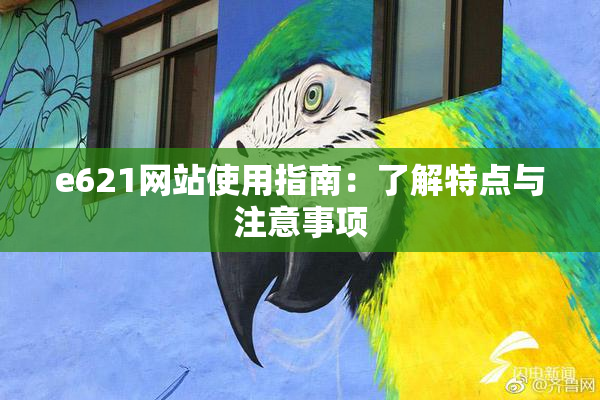 e621网站使用指南：了解特点与注意事项