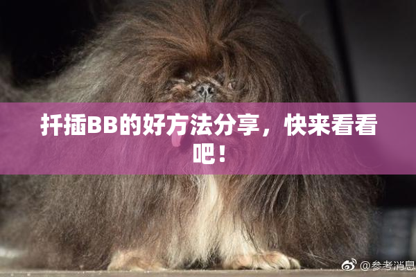 扦插BB的好方法分享，快来看看吧！
