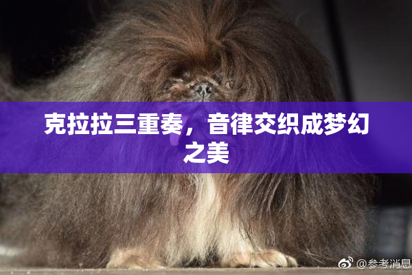 克拉拉三重奏，音律交织成梦幻之美