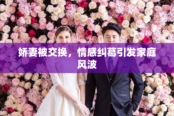 娇妻被交换，情感纠葛引发家庭风波