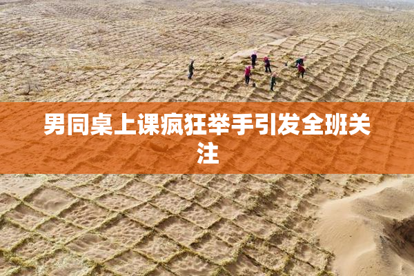男同桌上课疯狂举手引发全班关注