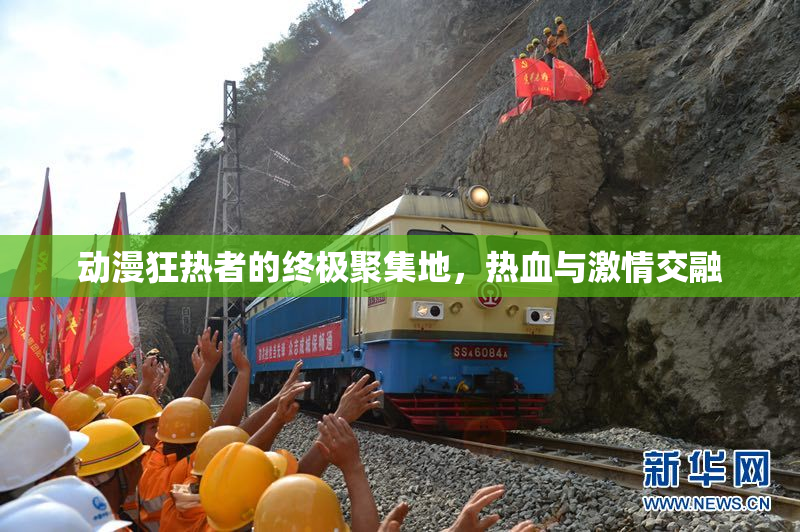 动漫狂热者的终极聚集地，热血与激情交融