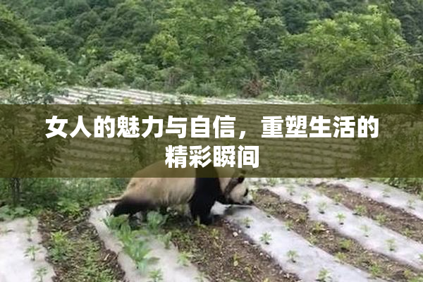 女人的魅力与自信，重塑生活的精彩瞬间