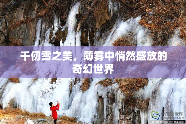 千仞雪之美，薄雾中悄然盛放的奇幻世界
