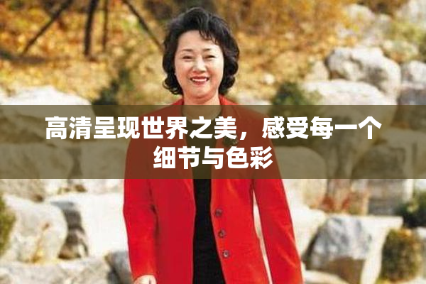 高清呈现世界之美，感受每一个细节与色彩