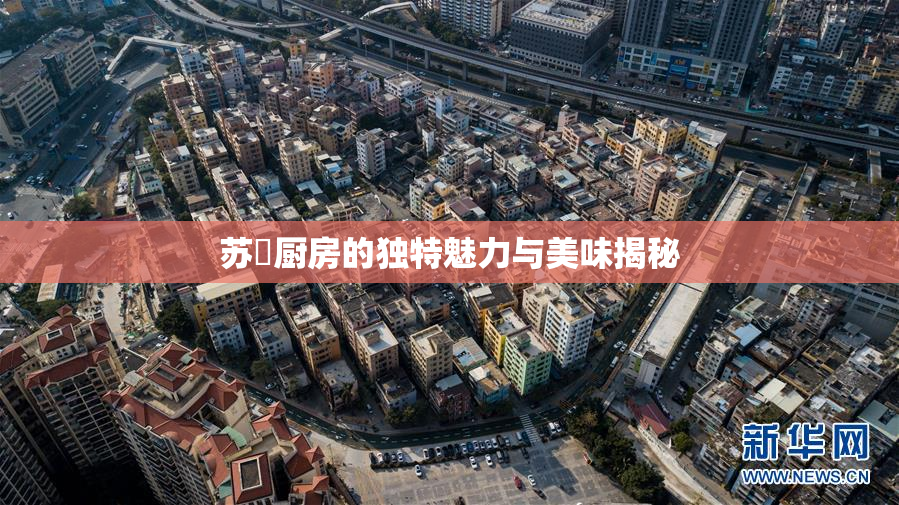 苏玥厨房的独特魅力与美味揭秘