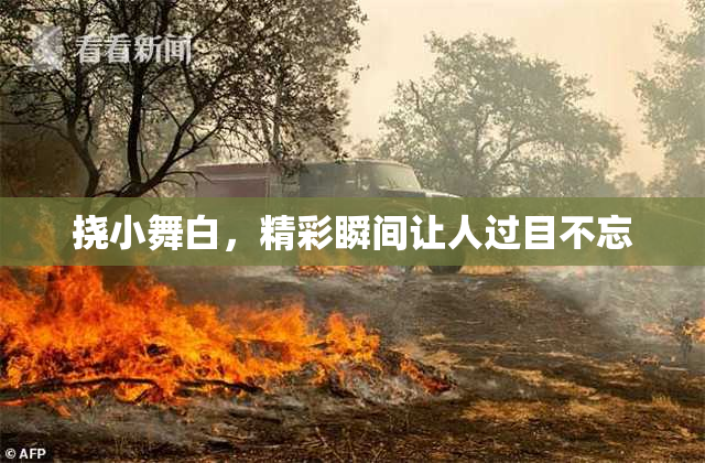 挠小舞白，精彩瞬间让人过目不忘