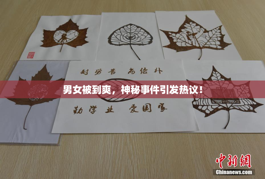 男女被到爽，神秘事件引发热议！