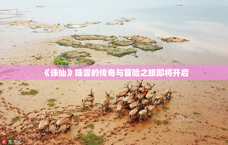 《诛仙》陆雪的传奇与冒险之旅即将开启