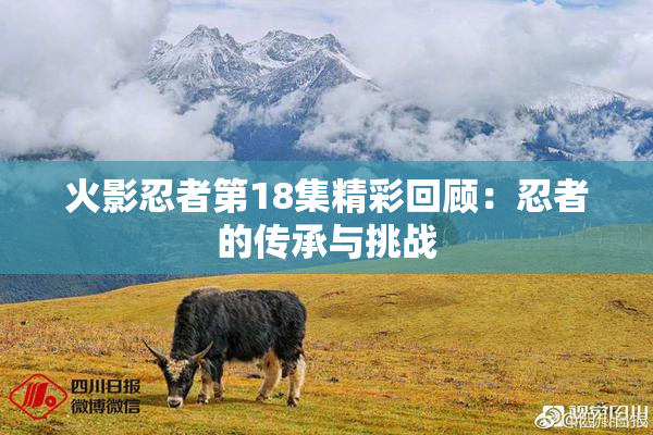 火影忍者第18集精彩回顾：忍者的传承与挑战