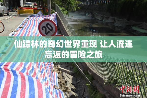 仙踪林的奇幻世界重现 让人流连忘返的冒险之旅