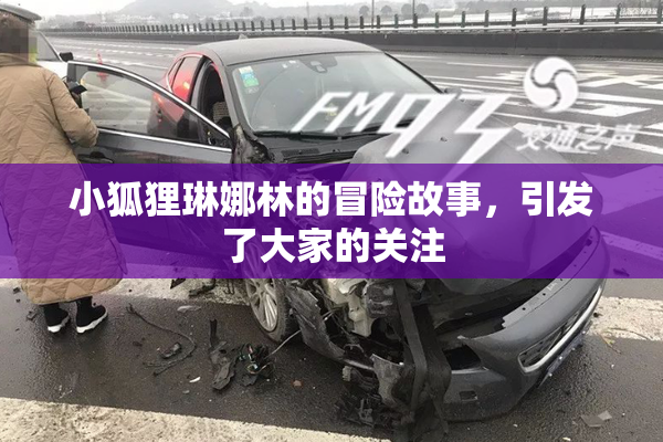 小狐狸琳娜林的冒险故事，引发了大家的关注