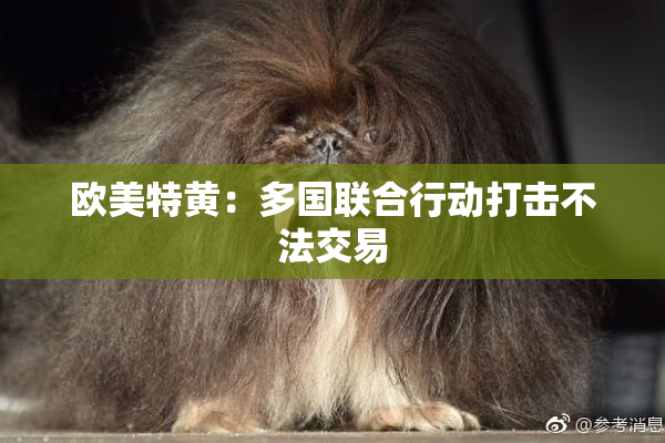 欧美特黄：多国联合行动打击不法交易