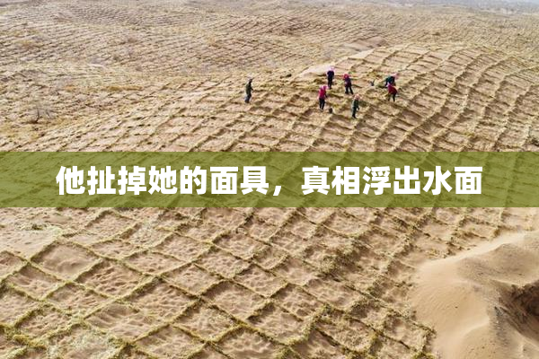 他扯掉她的面具，真相浮出水面