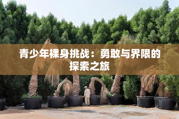 青少年裸身挑战：勇敢与界限的探索之旅