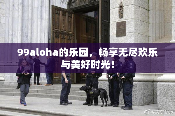 99aloha的乐园，畅享无尽欢乐与美好时光！