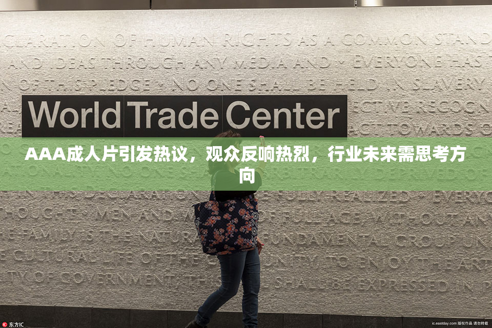 AAA成人片引发热议，观众反响热烈，行业未来需思考方向