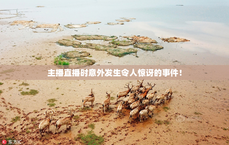 主播直播时意外发生令人惊讶的事件！