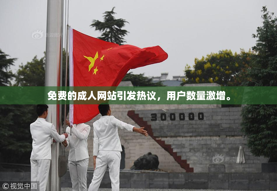 免费的成人网站引发热议，用户数量激增。