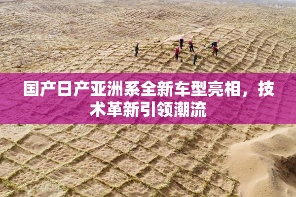 国产日产亚洲系全新车型亮相，技术革新引领潮流