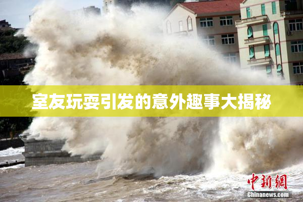 室友玩耍引发的意外趣事大揭秘