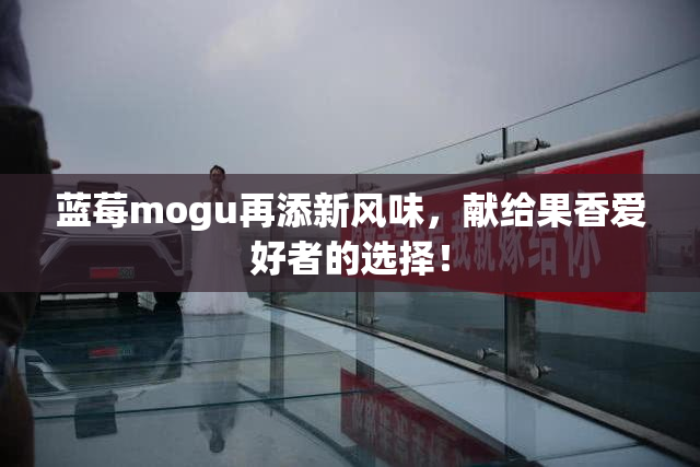 蓝莓mogu再添新风味，献给果香爱好者的选择！