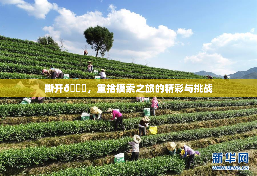 撕开👙，重拾摸索之旅的精彩与挑战