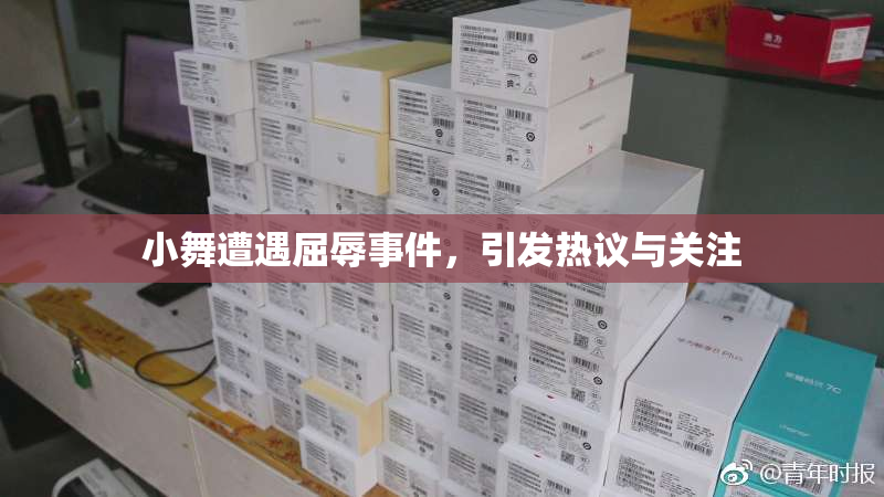 小舞遭遇屈辱事件，引发热议与关注