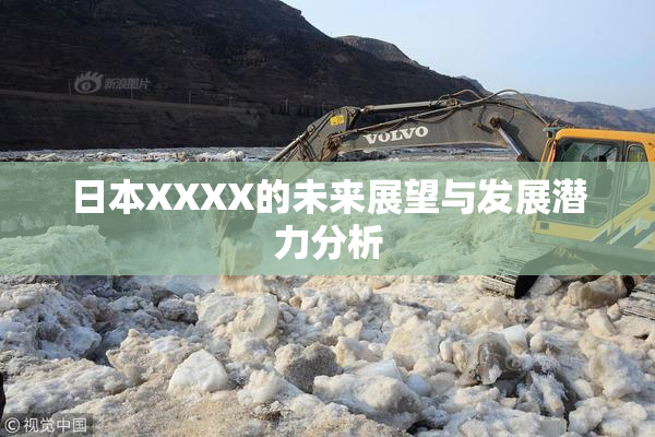 日本XXXX的未来展望与发展潜力分析