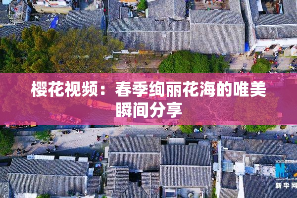 樱花视频：春季绚丽花海的唯美瞬间分享
