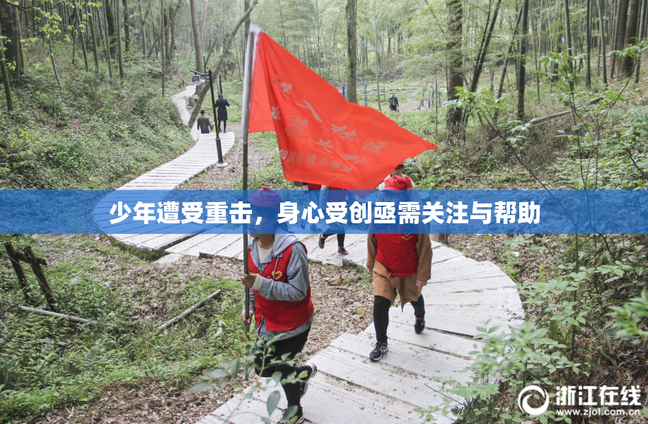 少年遭受重击，身心受创亟需关注与帮助