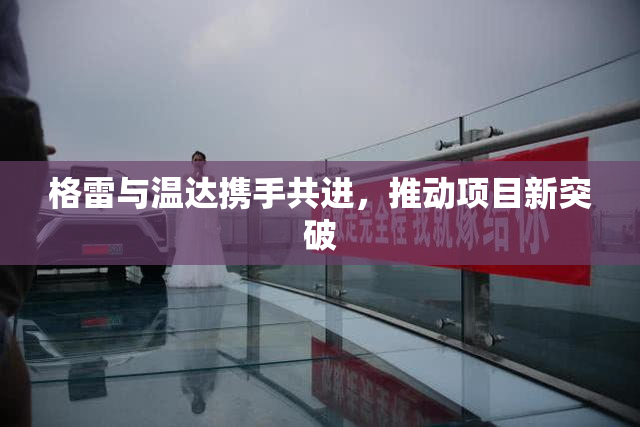 格雷与温达携手共进，推动项目新突破
